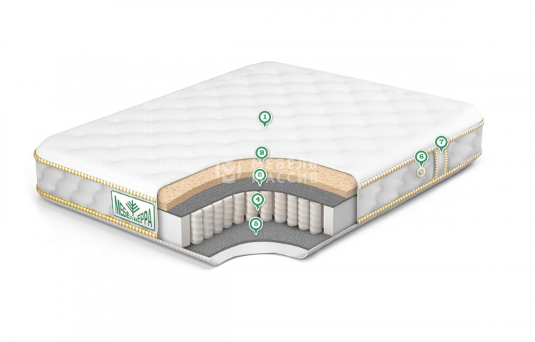 Матрас Eco Strut Soft